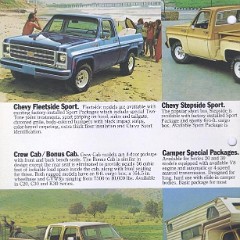 1979_Chevrolet_Pickups-04