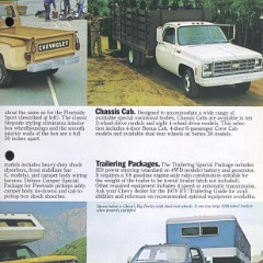 1979_Chevrolet_Pickups-05