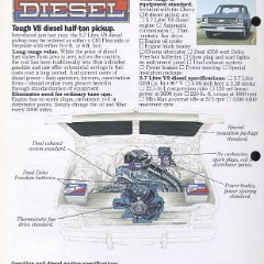 1979_Chevrolet_Pickups-10