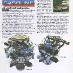 1979_Chevrolet_Pickups-11