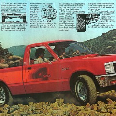 1981_Chevrolet_LUV-04-05