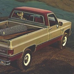 1982_Chevy_Pickups-09