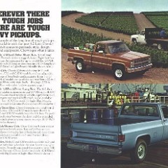 1982_Chevy_Pickups-10