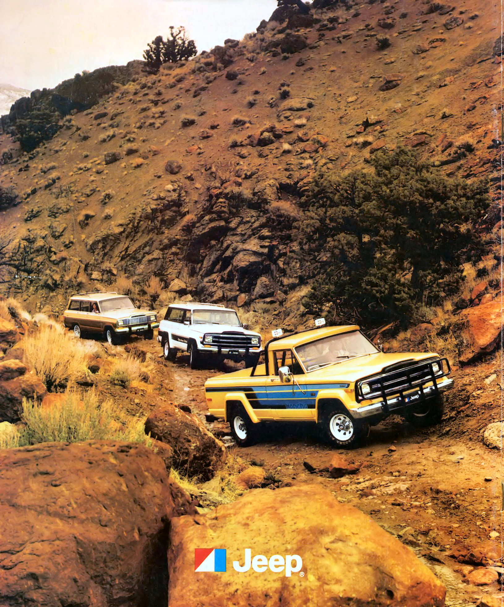 1980_Jeep_Full_Line-28