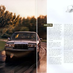 1992_Lincoln_Town_Car-12-13