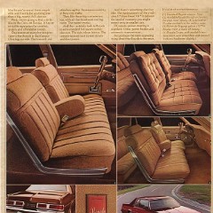 1979_Oldsmobile__Lg_-14