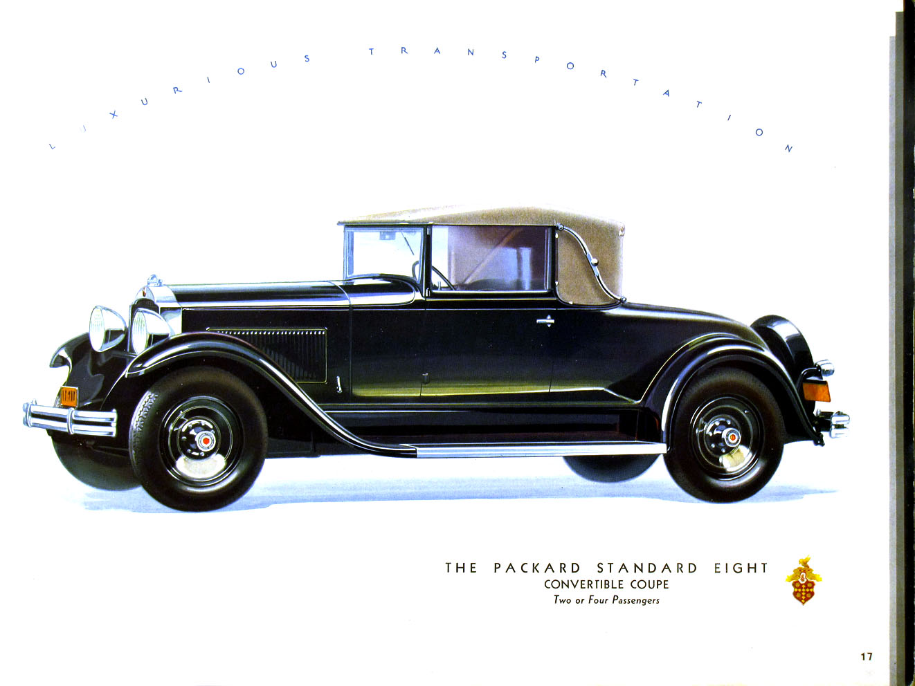 1931_Packard_Standard_Eight-17