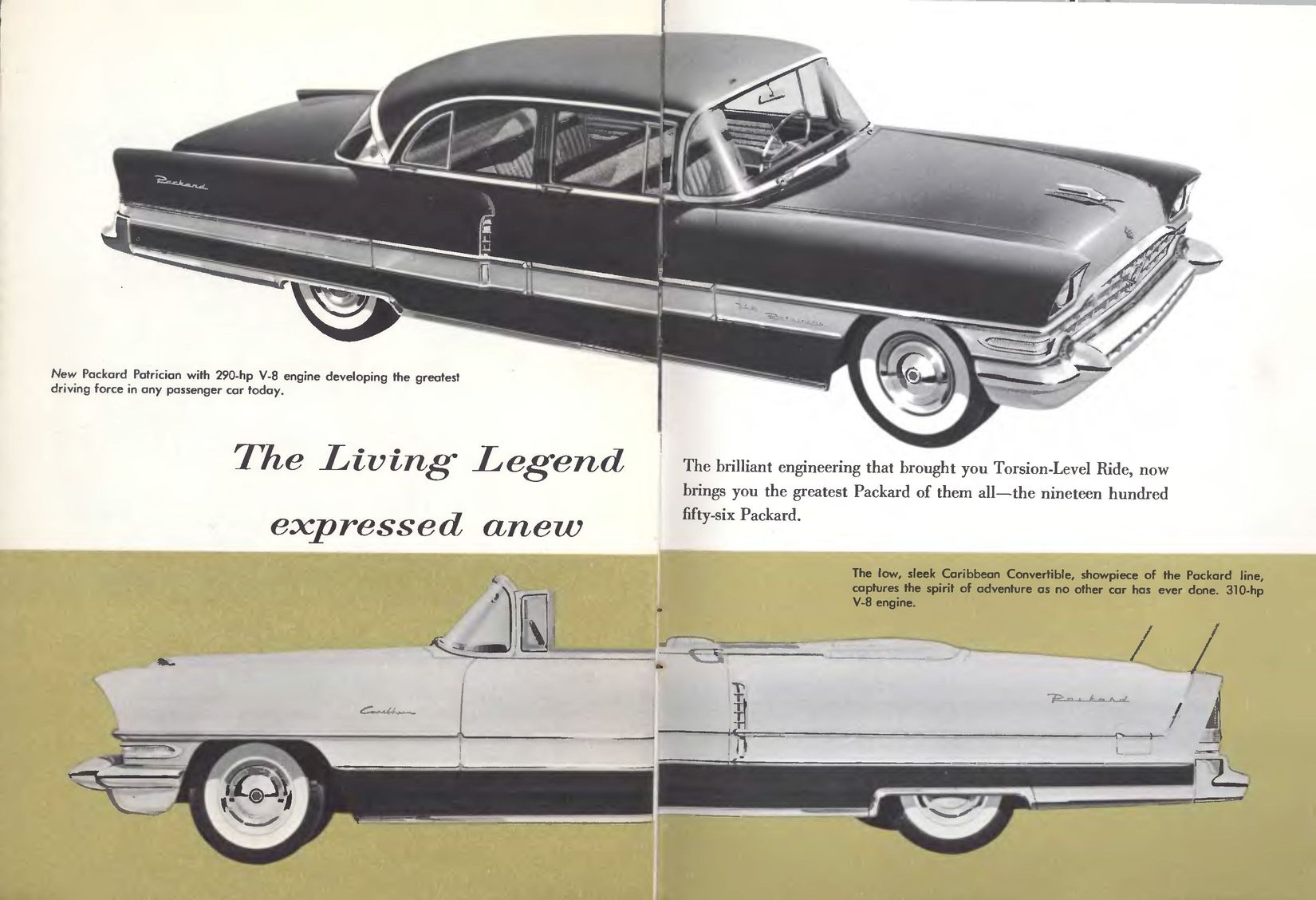 1956_Packard_Legend-11