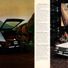 1980_Plymouth_Horizon-06-07