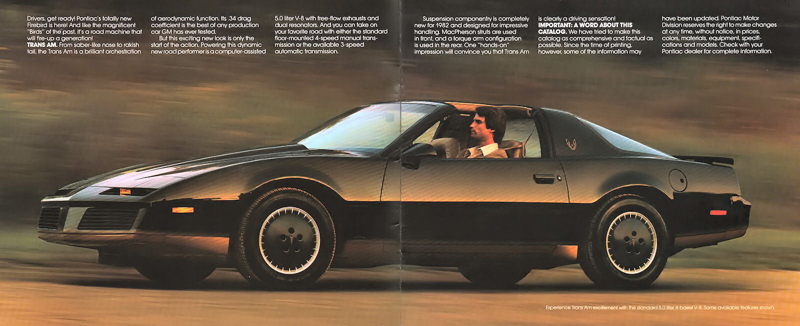 1982_Pontiac_Firebird-02-03