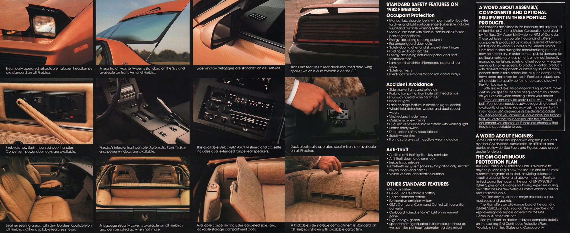 1982_Pontiac_Firebird-10-11