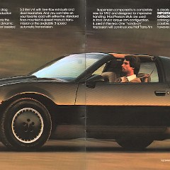 1982_Pontiac_Firebird-02-03