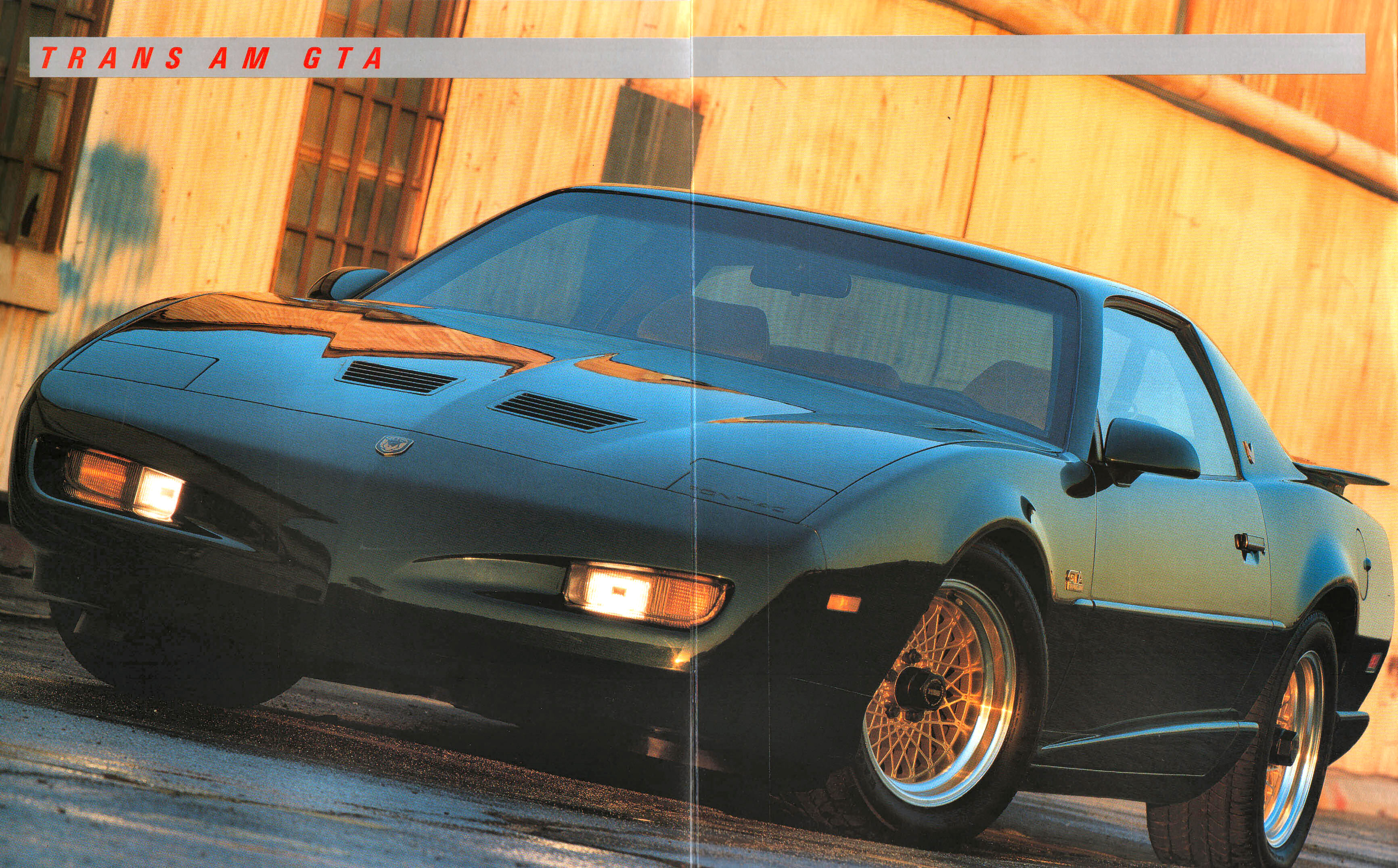 1991_Pontiac_Firebird-05-06