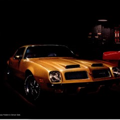 1974 Pontiac Firebird Foldout 02-03-04