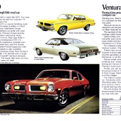 1974_Pontiac_Full_Line-10