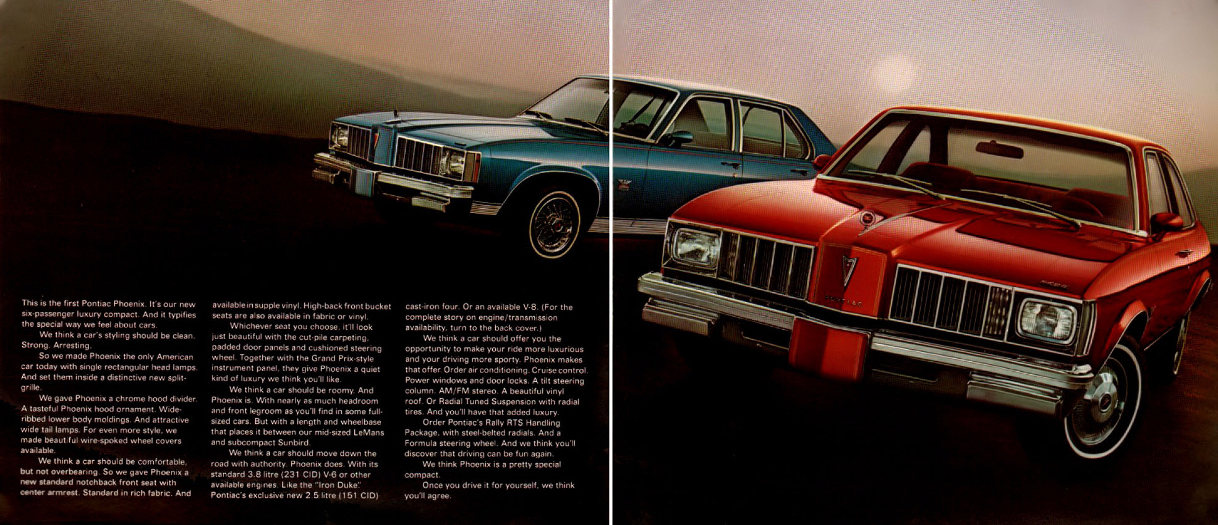 1977_Pontiac_Phoenix-02-03