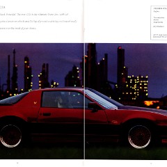 1987_Pontiac-11