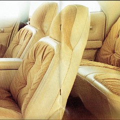 1976_Chrysler_CL_Regal_SE-08-09